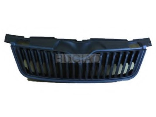 BUGIAD BSP23948 Radiator Grille